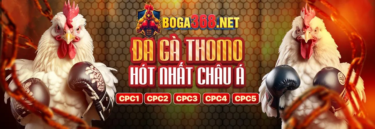 Sân vận động bóng đá với ánh đèn rực rỡ, biểu tượng cho cá cược thể thao đỉnh cao tại VB68 nhà cái